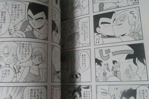 Dragon Ball Doujinshi Vegeta X Bulma (A5 56pages) pesogin LOVE TSUMEAWASE - Picture 4 of 9