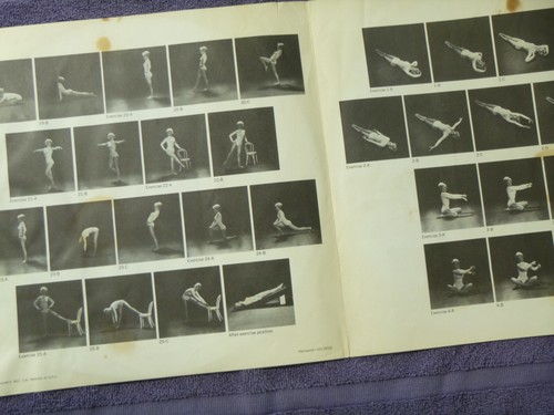 How To Keep Your Husband Happy Bachelorette gift gag Drake Record Vinyl lp Album - Picture 4 of 4