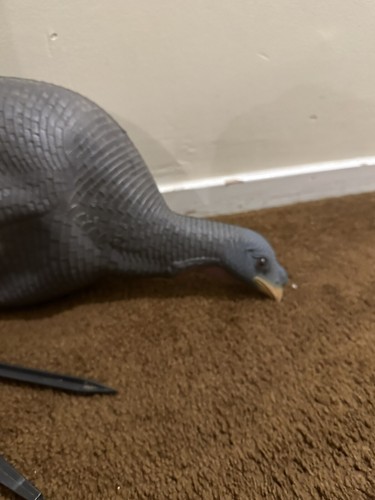 turkey decoy used - Picture 5 of 7