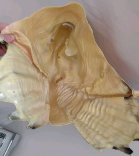Star Wars Jar Jar Binks Mask Halloween Costume Cosplay Mask Lucas Film Ltd. Vtg - Picture 4 of 5