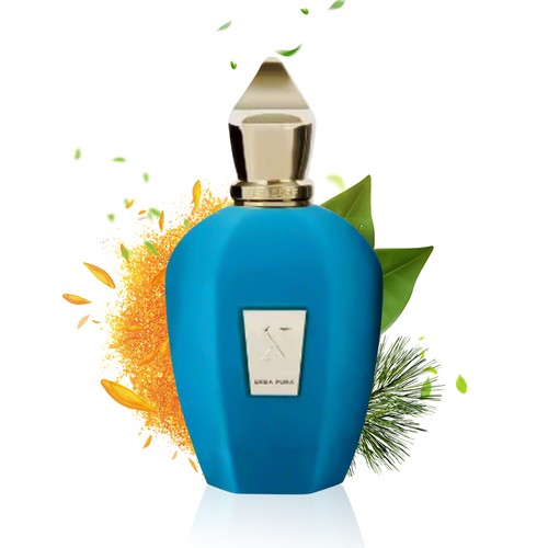 Xerjoff Erba Pura 3,4 Oz. EDP Parfüm Kölnisch Wasser Damen Herren Unisex Neu im Karton - Bild 3 von 9