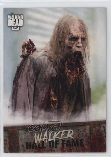 2018 Topps The Walking Dead Road to Alexandria Hall of Fame Walker #W-9 2a1