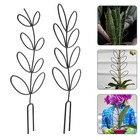  2 PCS -Pflanzen Kletterrahmen Eisenpflanze Stütze Gitter Rack Tomaten Käfige