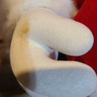 Bild 4 von 24