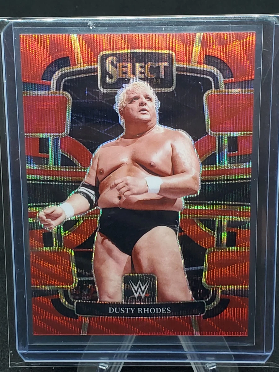 WWE ダスティーローデス スポーツ