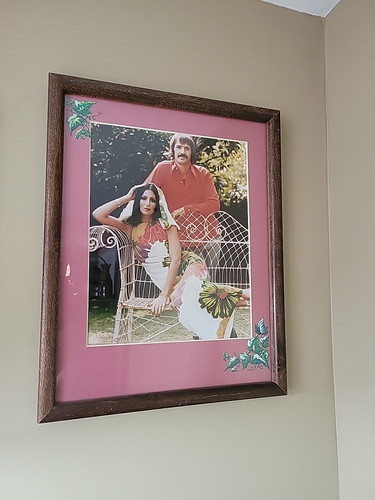Cher W/ Sonny Bono POSED SHOT 8X10 Photo FRAMED. - Picture 1 of 12