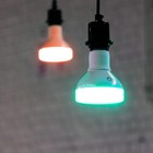 Foto 7 di 9