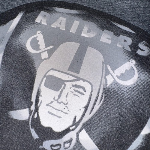 Camiseta de los Raiders de Las Vegas para Hombres XL Gris NFL Fútbol Gráfico Camiseta Gildan - Imagen 9 de 12