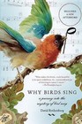 Why Birds Sing: A Journey into the Mystery of Birdsong by David Rothenberg (Paperback, 2006)