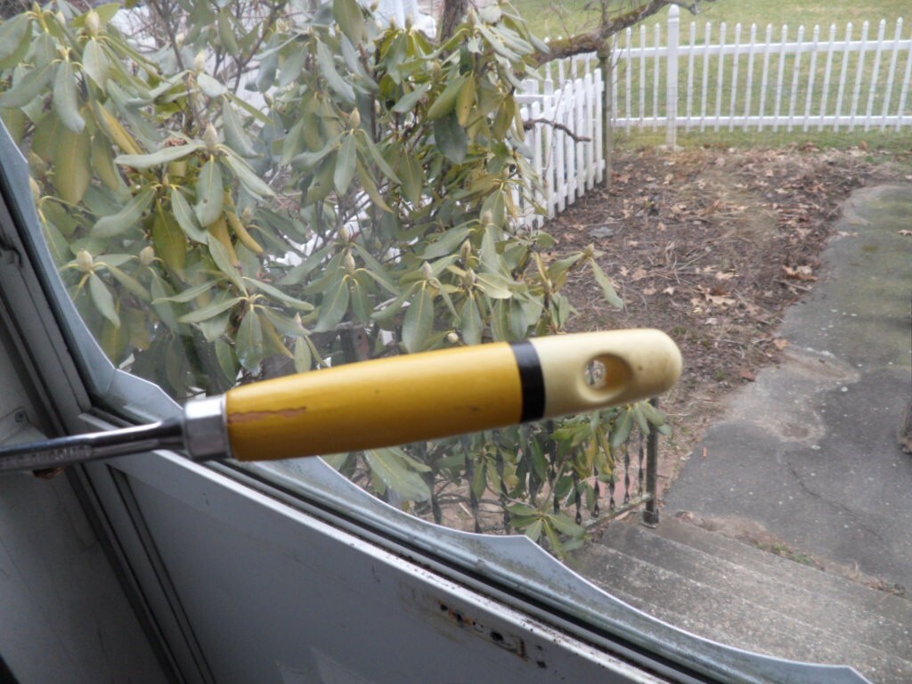 Picture 5 of 5