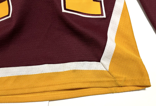 DEREK LODERMEIER 12 Minnesota Golden Gophers Men Sewn Jersey S Easton Team - Picture 10 of 18