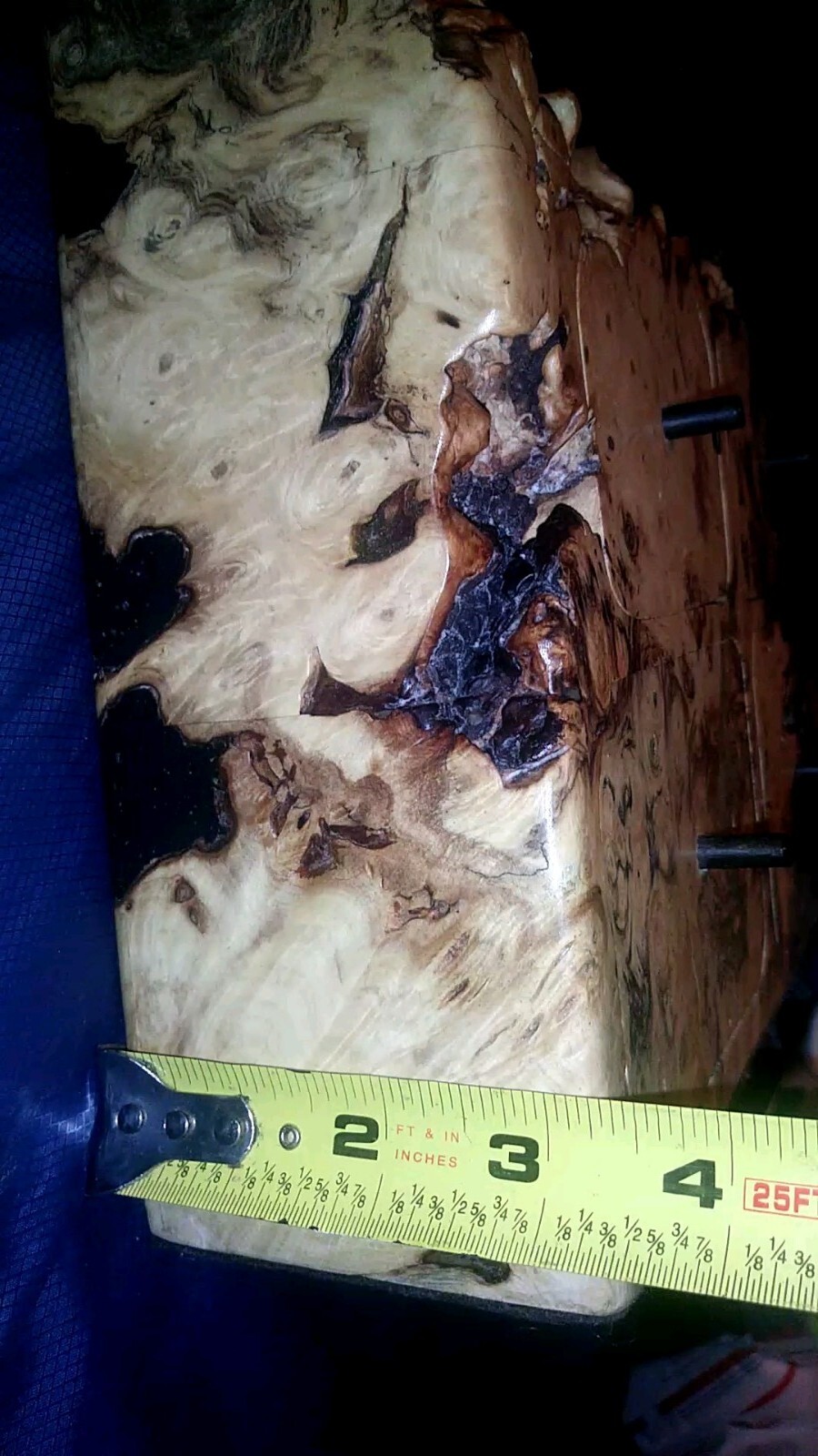 Picture 5 of 12