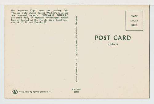 Postcard FL Florida Weeki Wachee MERMAID FOLLIES Show Underwater Diving Girls - Picture 2 of 2