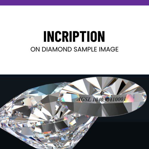 IGI 5Ct F VS1 Emerald Lab Diamond Basket Stud Earrings Push Back 14K Yellow Gold - Bild 6 von 9