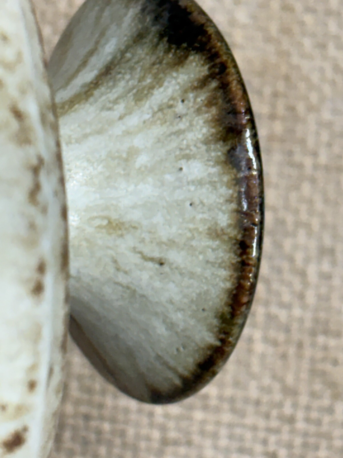 Picture 19 of 22