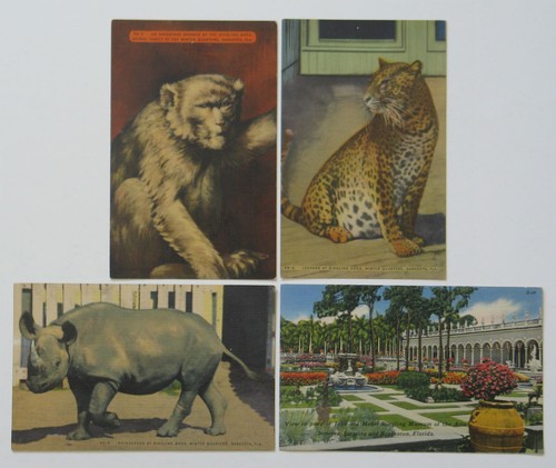 4 Ringling Bros Postkarten Tier Winter Viertel Leopard Nashorn Sarasota Museum - Bild 1 von 2