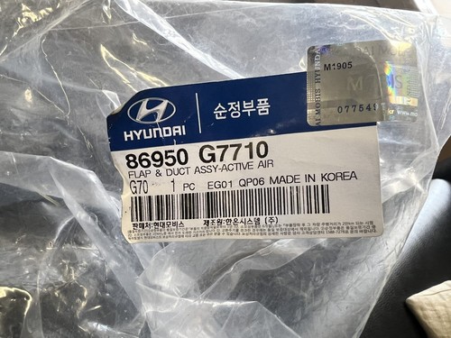 2020-2021 IONIQ Electric Grille Active Air Shutter Lower Flap Duct Deflector OEM - Picture 5 of 5