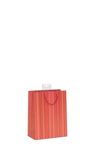 10 kleine Geschenktüten Geschenktaschen Geschenktüte Papiertüte Glück sk 2403-S - Bild 3 von 6