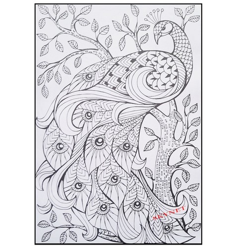 2 x Anti-Stress Adult Colouring Books For Adults Teen PATTERNS IN NATURE FLORAL - Imagen 9 de 24