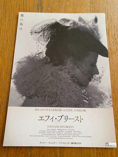 RAINER WERNER FASSBINDER Japan mini-poster x3 LILI MARLEEN Fontane Effi Briest - Picture 5 of 5