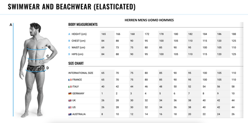 Arena Boys' Swim Shorts Blue/Silver 140 cm 10-11 Years - Picture 4 of 4