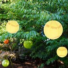 6 Pcs Baseball Lantern Toddler Party Lanterns Decorations Hanging Paper