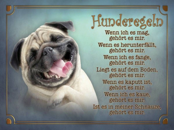 Holzschild 30X40 Cm Hunderegeln Wenn Ich Es Mag Deko Geschenk Holz Schild-image