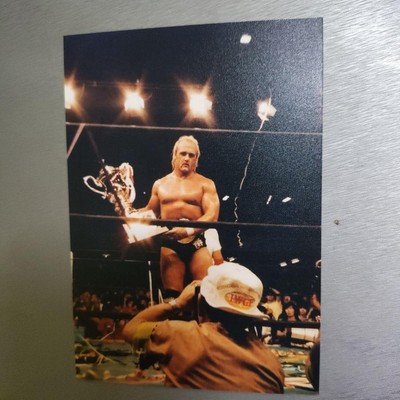 WWE クラシック9 バンバンビガロ WWE クラシック9 バンバンビガロ