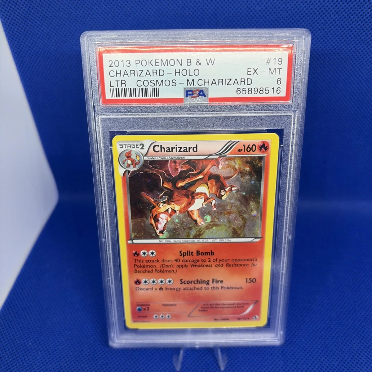 リザードン PSA8 英語版 Charizard #6 Holo Collectible Individual Grade 6 Charizard Pokémon TCG Card Games in