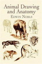 Animal Drawing and Anatomy (Paperback or Softback)