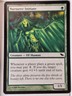 Nurturer Initiate - Shadowmoor - Magic the Gathering MTG Nice!