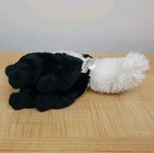 Bild 9 von 12