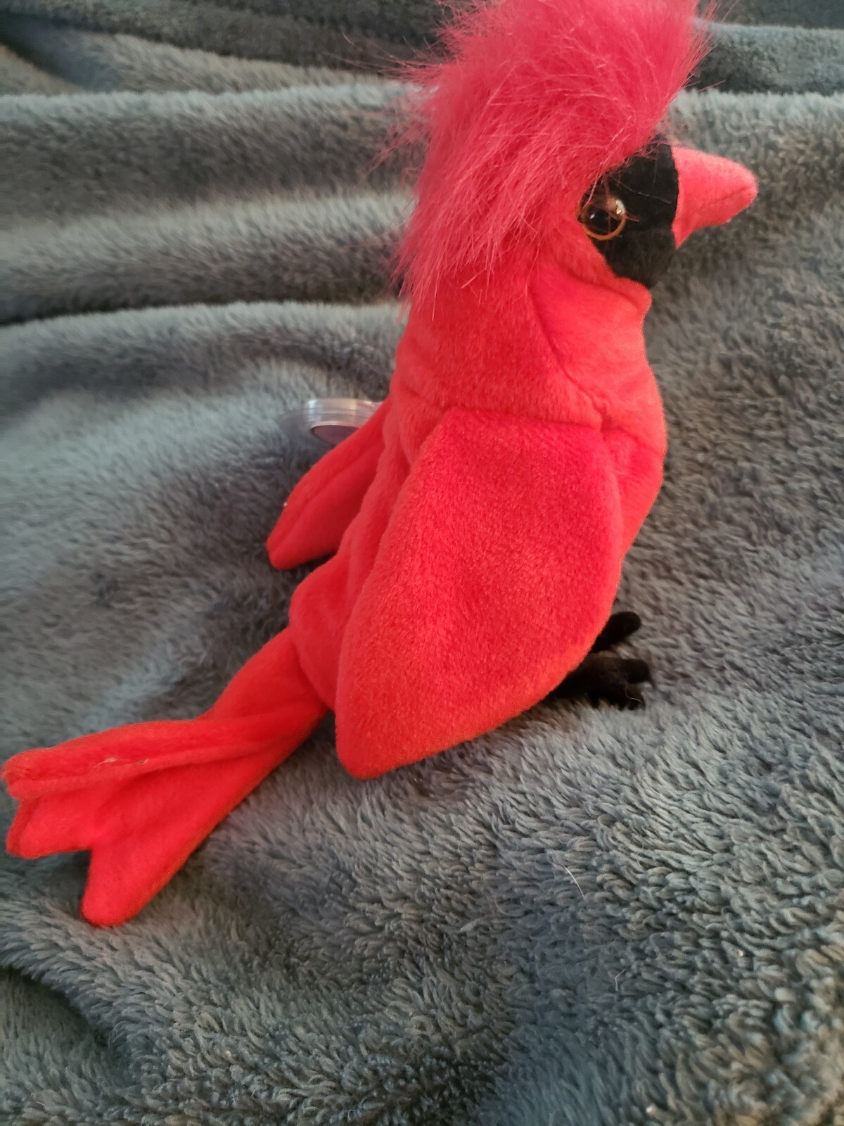 Rare Mint 4 ErrorsMac the Cardinal Red Bird 1998 1998 1998 New w Tag 4e7c8b Rare Mint 4 ErrorsMac the Cardinal Red Bird 1998 1998 1998 New w Tag 4e7c8b