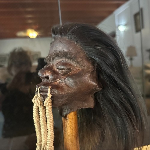 CABEZA ENCOGIDA ESTILO TRADICIONAL JÍVARO -TSANTSA - Imagen 3 de 4