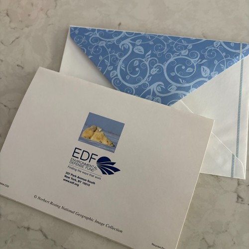 Polar Bear & Sleeping Cub in Snow Card w/Envelope Environmental Defense Fund - Picture 4 of 5