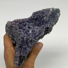 Picture 6 of 14