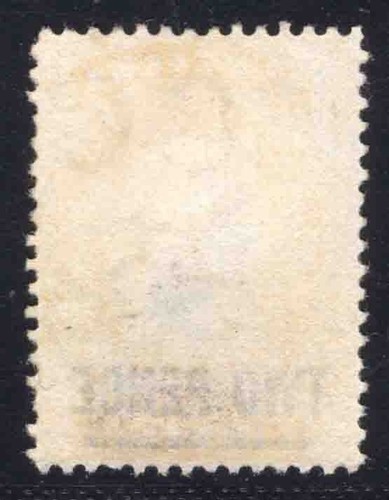 MOMEN: ST. HELENA SG #28 1880 P14 UNUSED NO GUM £150 LOT #66249 - Bild 2 von 2