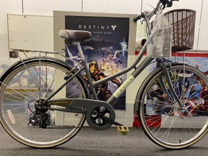 cross lady beth bike