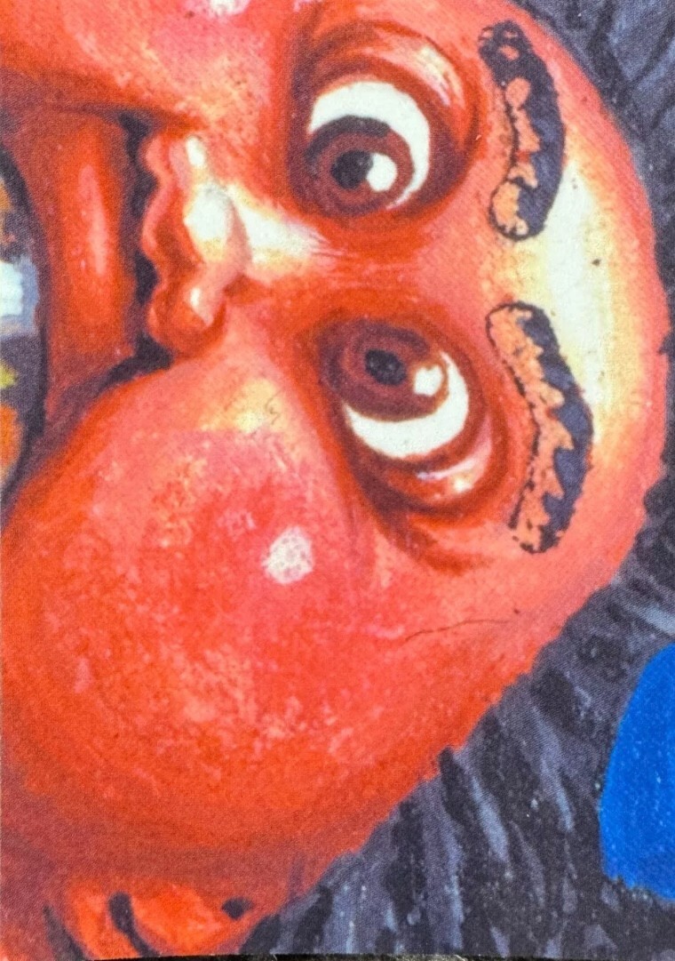Bild 24 von 86