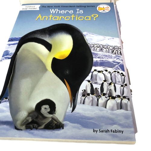 Lot of 4 Paperbacks Sink or Swim BFG Heart of a Dolphin Antartica Scholastic - Imagen 4 de 6