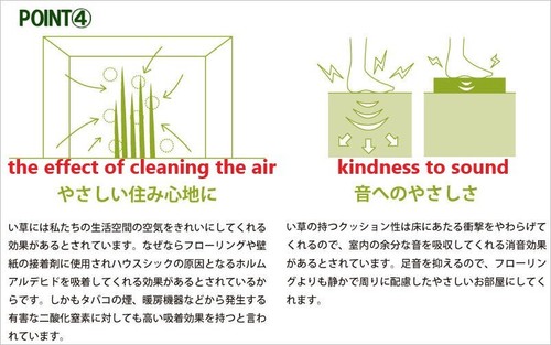 Tatami Mat Rug Carpet Kotatsu rush grass Cyperus monophyllus Asian Japan - Picture 11 of 44