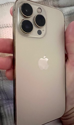 Apple iPhone 13 Pro - 1 TB - Gold (Unlocked) - Picture 4 of 5