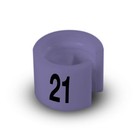 Bild 42 von 67