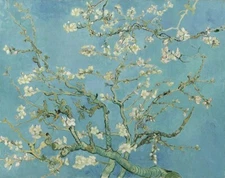 Almond Blossom – Vincent van Gogh – 1890 – Post-Impressionist Floral Art Print