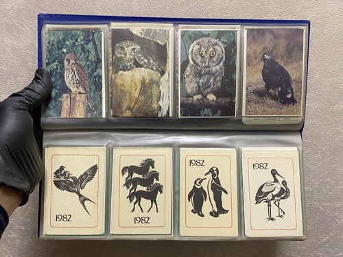 COLECCIÓN ÚNICA URSS CALENDARIOS DE BOLSILLO ANIMALES + ÁLBUM URSS - Imagen 6 de 12