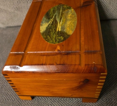 Joyero de madera de cedro tallado de colección con incrustaciones de imagen en tapa cola de milano 9" x 6" x4" - Imagen 4 de 10