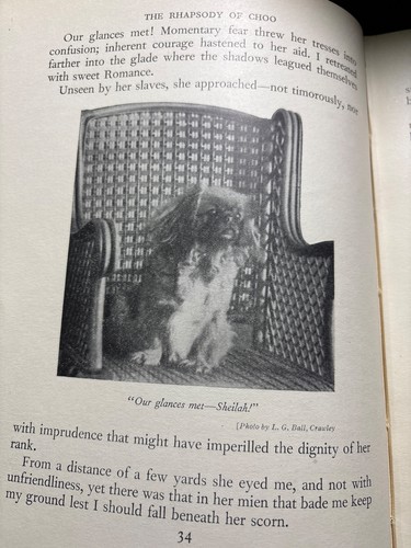 PEKINGESE Dog Andrew Soutar 1931 A CHINAMAN in SUSSEX 1st Ed Hardback illus DOGS - Picture 11 of 24