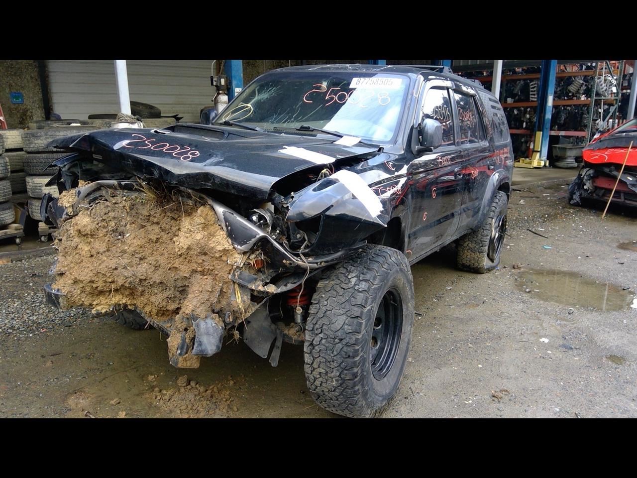 Picture 5 of 12