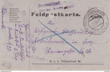 Austria WWI. Disinfected P.O.W. Field PC. 1917.XI.6. to Graz  violet linear cach