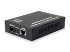 LevelOne GVT-0500 RJ45 to SFP+ 10-Gigabit Media Converter